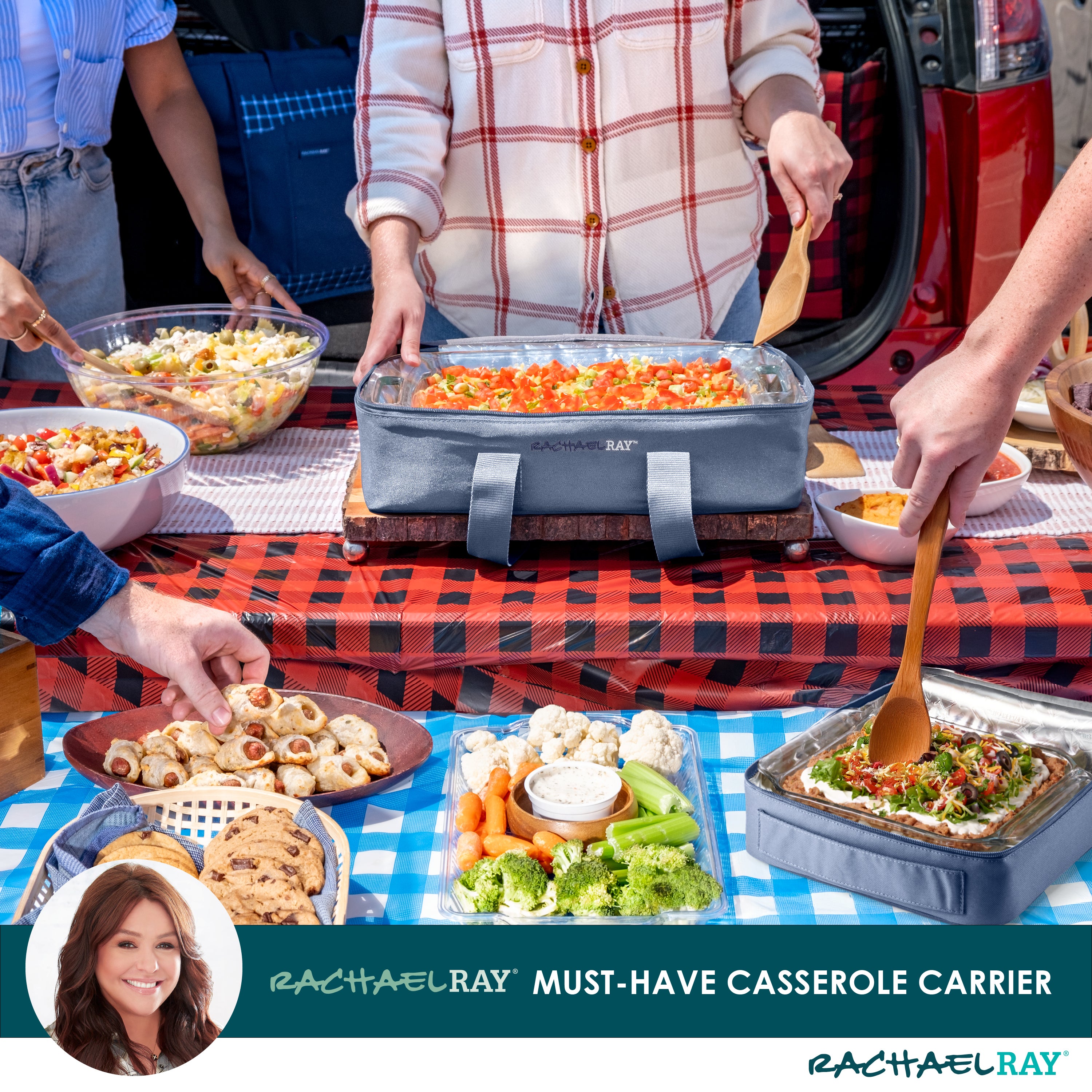 fit-fresh-rachael-ray-lasagna-lugger-duo-slate-stripe-insulated-casserole-carrie image 7