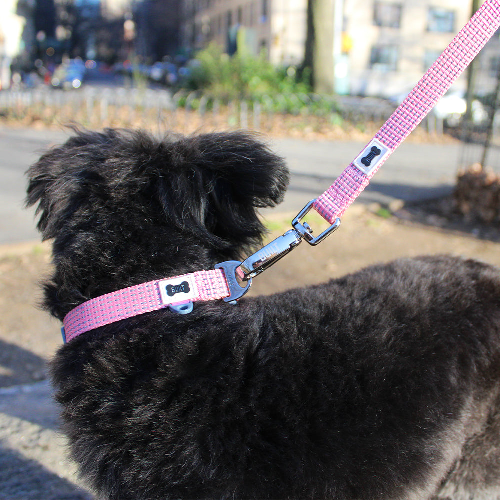 built-nightsafe-dog-collar-reflective-adjustable-collar-with-metal-d-ring-and-id image 2